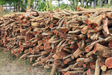 Firewood stock for the wood stove of traditional cooking