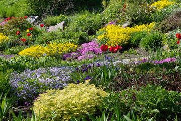 garden with flower beds and bright colors