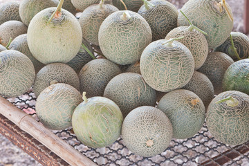 Stow of sort out low grade Japanese melons