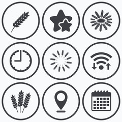 Agricultural icons. Gluten free symbols.