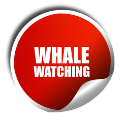 whale watching, 3D rendering, red sticker with white text
