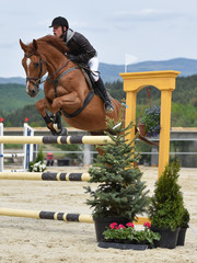 show jumping