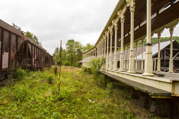Fototapeta na wymiar Railroad cars on overgrown tracks