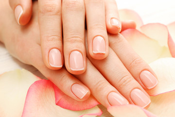 Woman hands with beautiful rose  petals on wooden background, close up