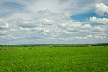 Obraz premium Green field and clouds