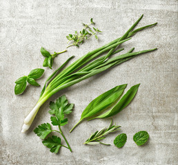 green herbs on gray stone background