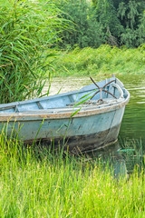 Old fishing boat in the reeds on the river