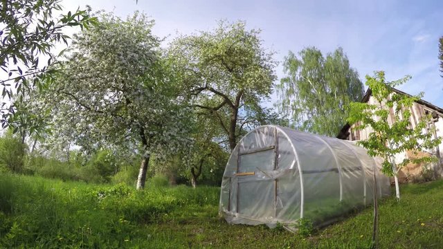 Polyethylene greenhouse in flowering garden in spring on sunny cloudy day, time lapse 4K