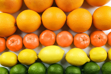 Colorful mixed citrus fruit  sorted and lined up in rows, close up