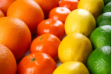 Colorful mixed citrus fruit  sorted and lined up in rows, close up