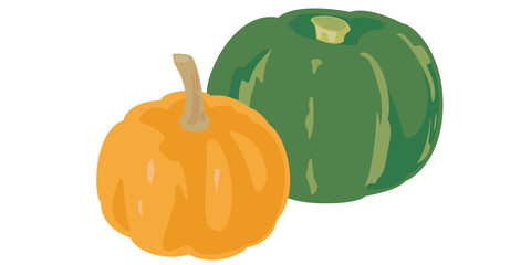 2つのカボチャ（緑とオレンジ）