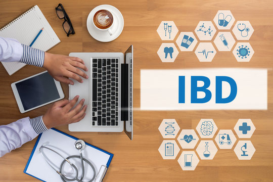  IBD - Inflammatory Bowel Disease. Medical Concept