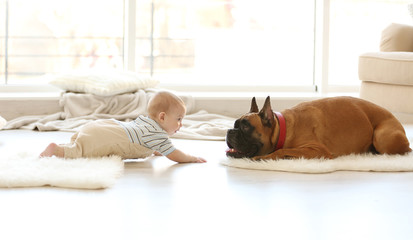 Little baby boy with boxer dog lying at home