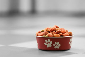 Pet food in a metal bowl on a floor.