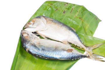 Fish mackerel isolate on white
