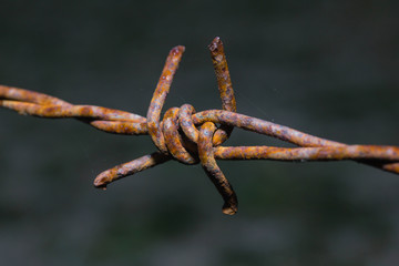 Rusty barbed wire in Thailand farm
