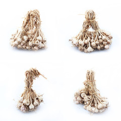 Garlic isolated on white background