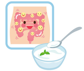 健康な腸　乳酸菌　ヨーグルト