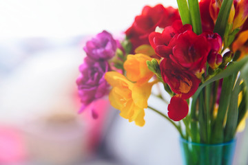 Beautiful freesia flowers on blurred background