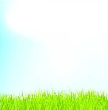 green grass with blue sky.