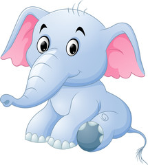 Cute baby elephant sitting isolated on white background