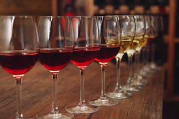 Many glasses of different wine in a row on bar counter