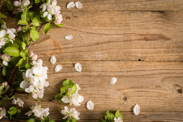 Wooden background and blossoms. 

Beautiful photo for post cards, gift cards etc. Rustic wooden background and apple blossoms. Copy space for text.
