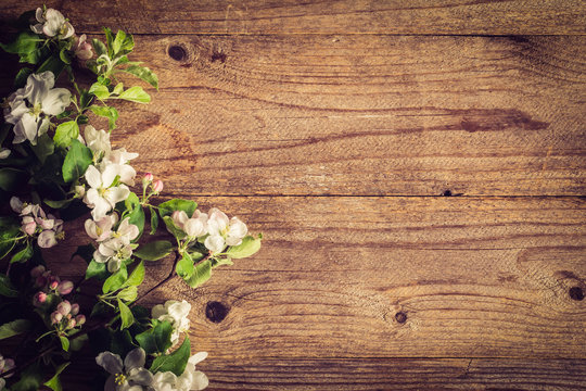 Wooden background and blossoms. 

Beautiful photo for post cards, gift cards etc. Rustic wooden background and apple blossoms. Copy space for text. 