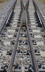 Fototapeta premium Railroad tracks crossing