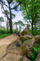 Fototapeta premium Park Pałacu Narodowego Pena. Sintra. Portugalia