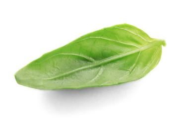 Fresh basil leaf isolated on white