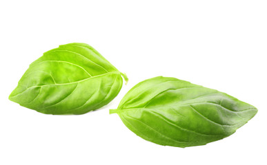 Fresh basil leaves group isolated on white