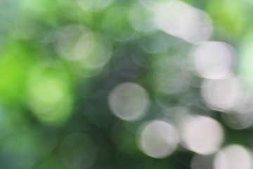 Obraz premium outdoors bokeh background