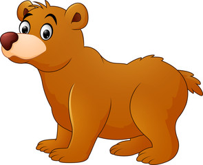 Cute baby bear cartoon