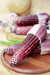 fresh purple organic corn