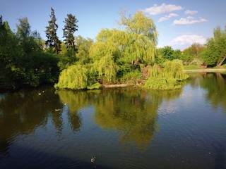 Fototapeta na wymiar Small lake near St. Marketa monastery in Prague