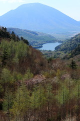 Fototapeta premium 奥日光 金精峠からの男体山と湯の湖