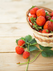 strawberries  in the  basket