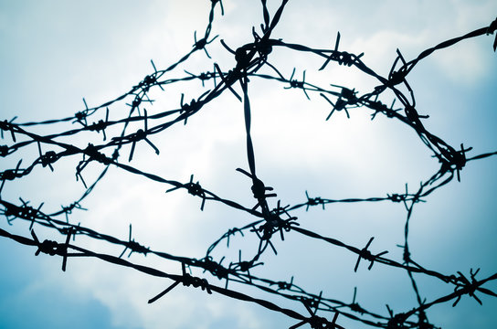 Tangle Of Barbed Wire Against The Sky, Silhouette Photo Effect.