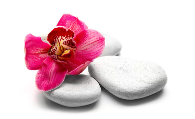 Fototapeta na wymiar White spa stones and red orchid isolated on white