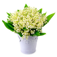 lilies of the valley isolated on white background