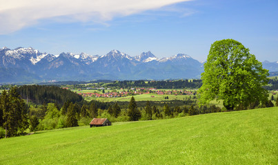 Fototapeta na wymiar idyllische Landschaft im östlichen Allgäu