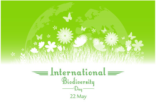 International Biodiversity Day background with flower, butterflies and grass silhouette