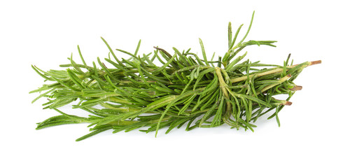 rosemary isolated on white background