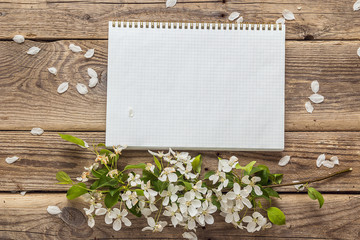 Apple blossom and empty notebook for text on wooden background.