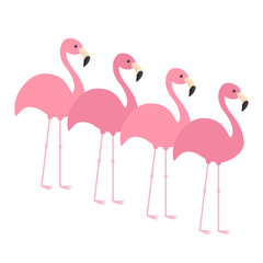Four pink flamingo set. Exotic tropical bird. Zoo animal collection. Cute cartoon character. Decoration element. Flat design. White background. Isolated.