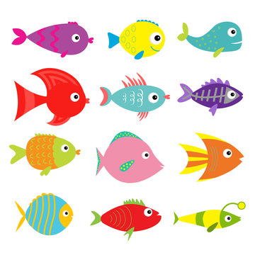Cute cartoon fish set. Isolated. Baby kids collection. White background. Flat design