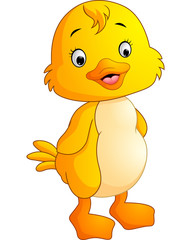 Cute chicken cartoon