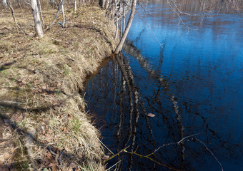 Spring flooding on the river