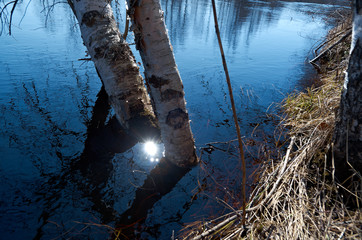 Spring flooding on the river